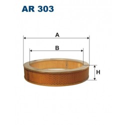 AR 303