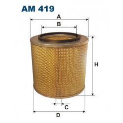 AM 419